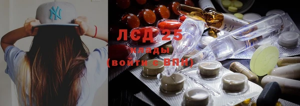 тгк Магас