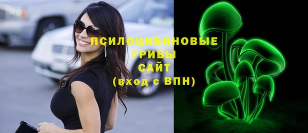 тгк Магас