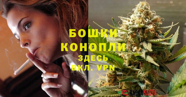 тгк Магас