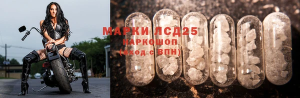 дурь Майский